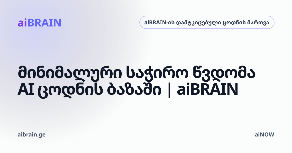მინიმალური საჭირო წვდომა AI ცოდნის ბაზაში | aiBRAIN