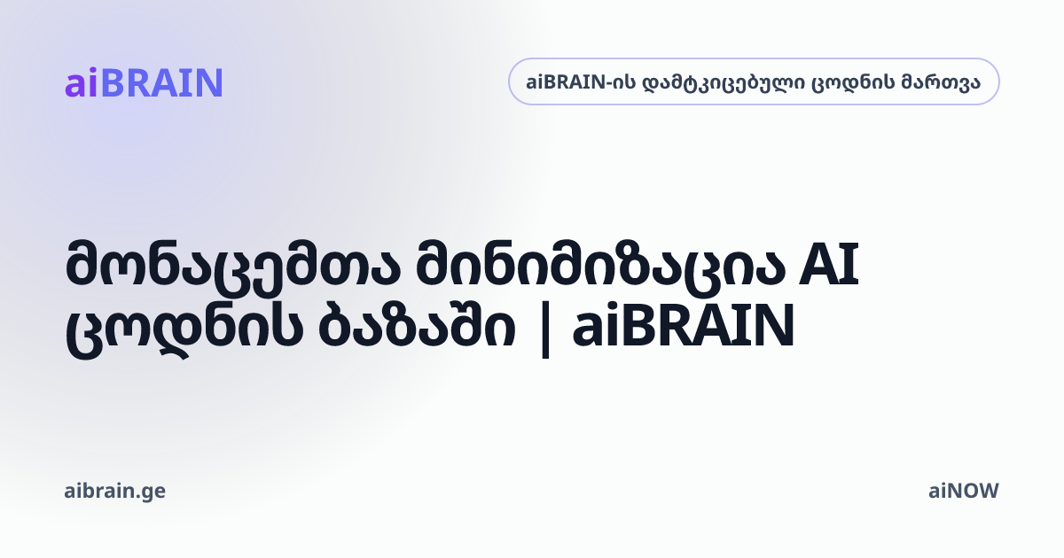მონაცემთა მინიმიზაცია AI ცოდნის ბაზაში | aiBRAIN